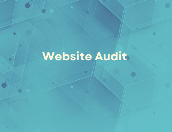 Website Audit