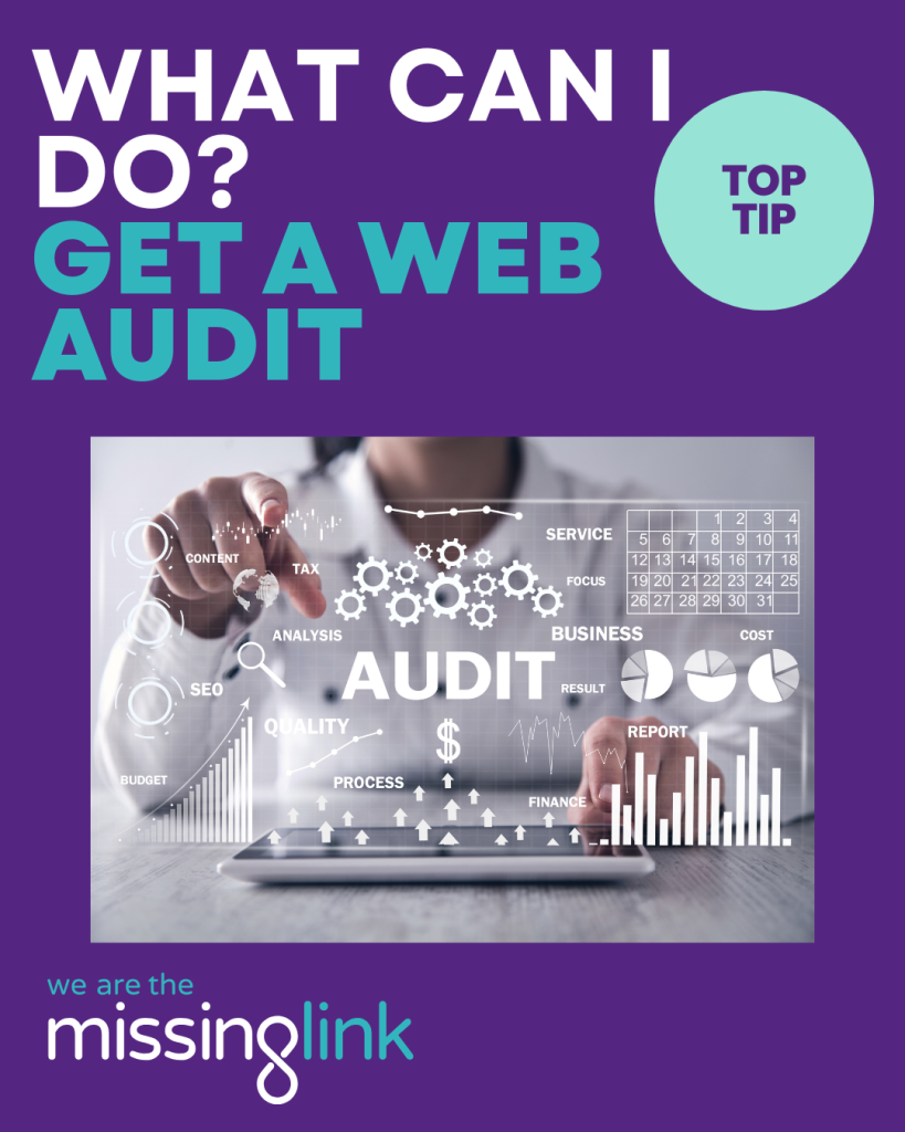what can i do? Get a web audit - on a purple background with a logo from We Are The Missing Link